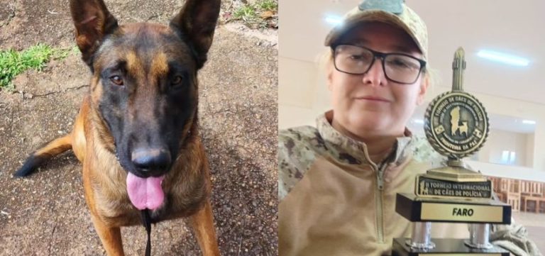 Nota de agradecimento à servidora Carla Varela Sardá e ao seu cão Sherlock (2)